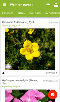 PlantNet Plant Identification APK screenshot 1 PlantNet Plant Identification APK screenshot 1