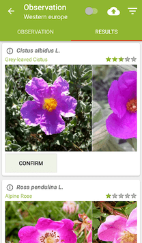 PlantNet Plant Identification APK screenshot 1 PlantNet Plant Identification APK screenshot 1
