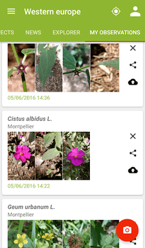 PlantNet Plant Identification APK screenshot 1 PlantNet Plant Identification APK screenshot 1