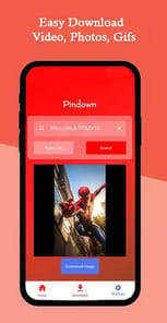 Pinterest Video Downloader APK screenshot 1