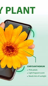 Grow Daily APK screenshot 1