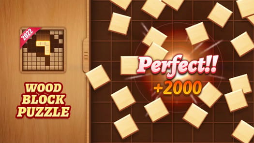 Wood Block Puzzle APK screenshot 1