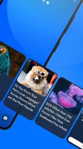 Headlines Sierra APK screenshot 1