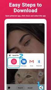 Video Downloader For Pinterest APK screenshot 1