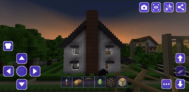 Wild West Cowboy Craft APK screenshot 1