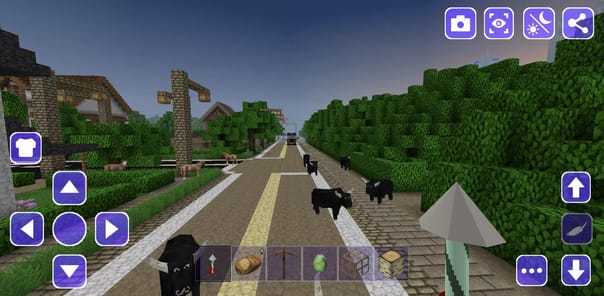 Wild West Cowboy Craft APK screenshot 1